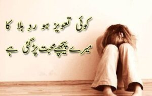 urdu shayari mohabbat
