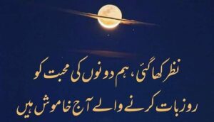 2 line urdu poetry copy paste