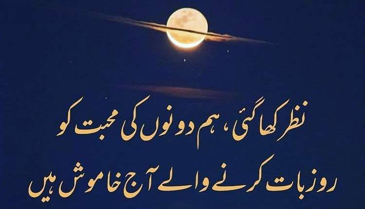 2 line sad shayari in urdu