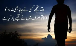 Urdu shayari on life