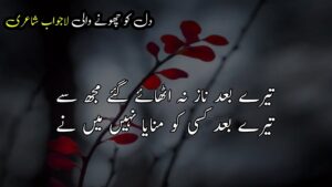 ishq shayari urdu
