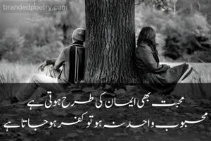 ishq shayari urdu
