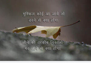 shayari photo download