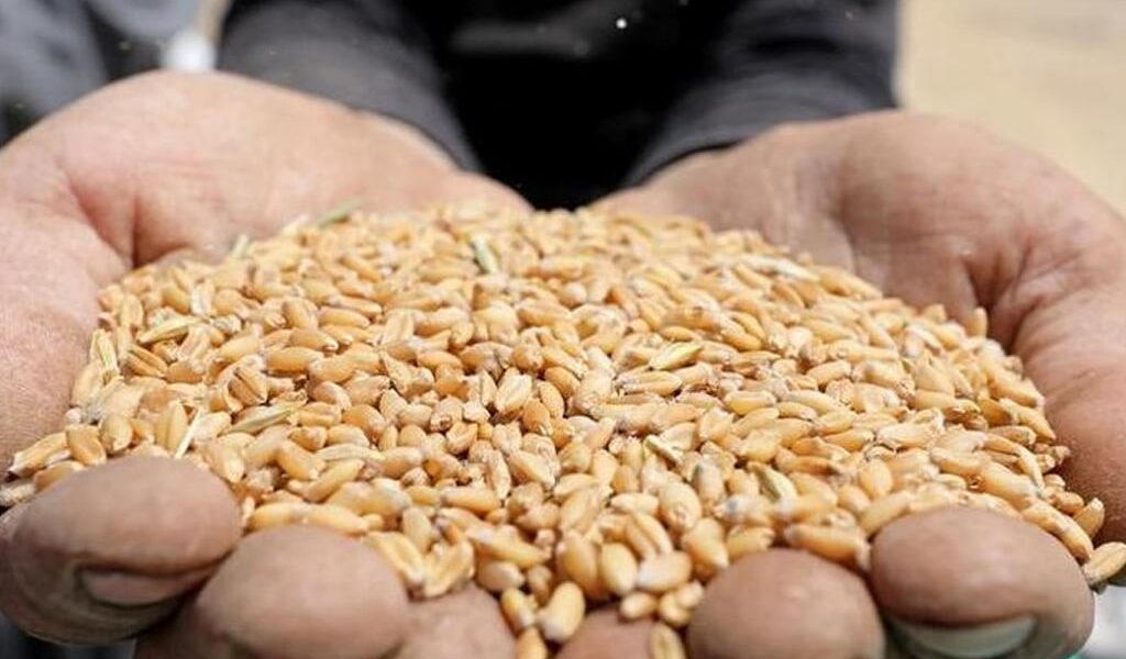 40 kg wheat price in pakistan today