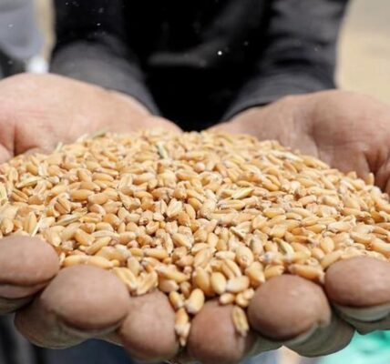 40 kg wheat price in pakistan today